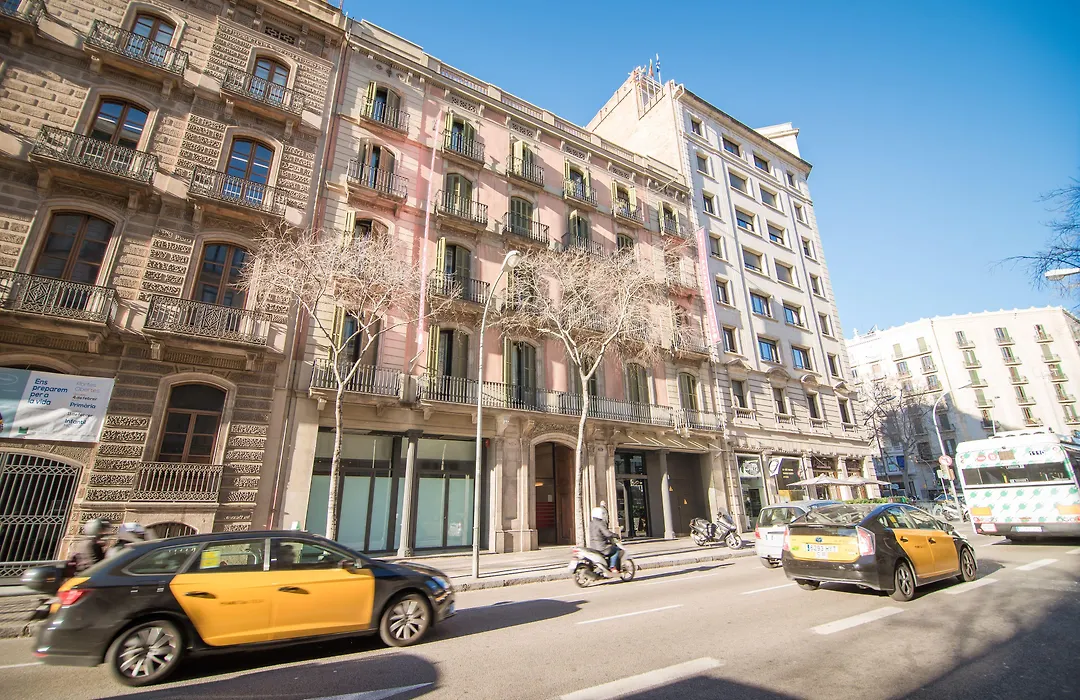 Icon Bcn-1
