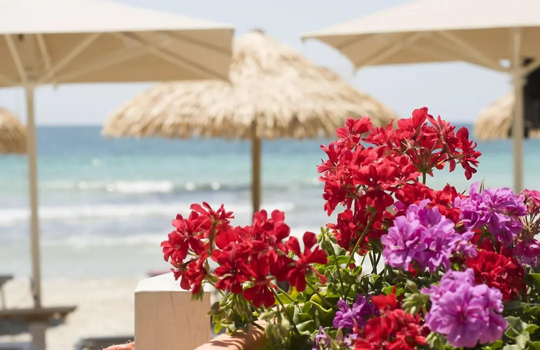Conchiglia Azzurra Hotel&Beach-1