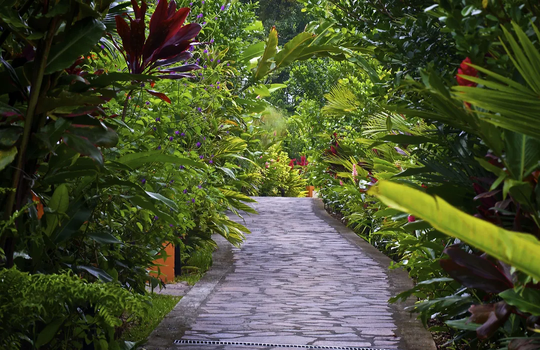 Nayara Gardens-1