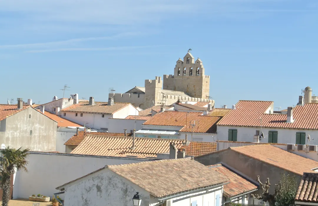 Hotel Les Palmiers En Camargue-1
