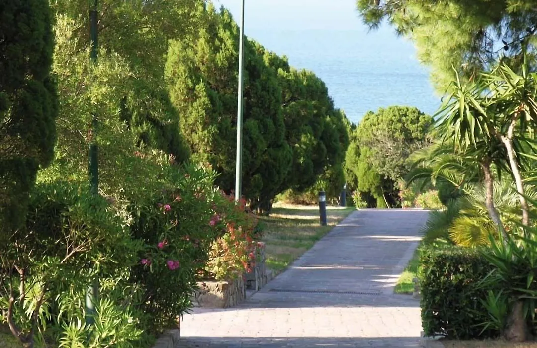 Eco Village Baia Delle Ginestre-1