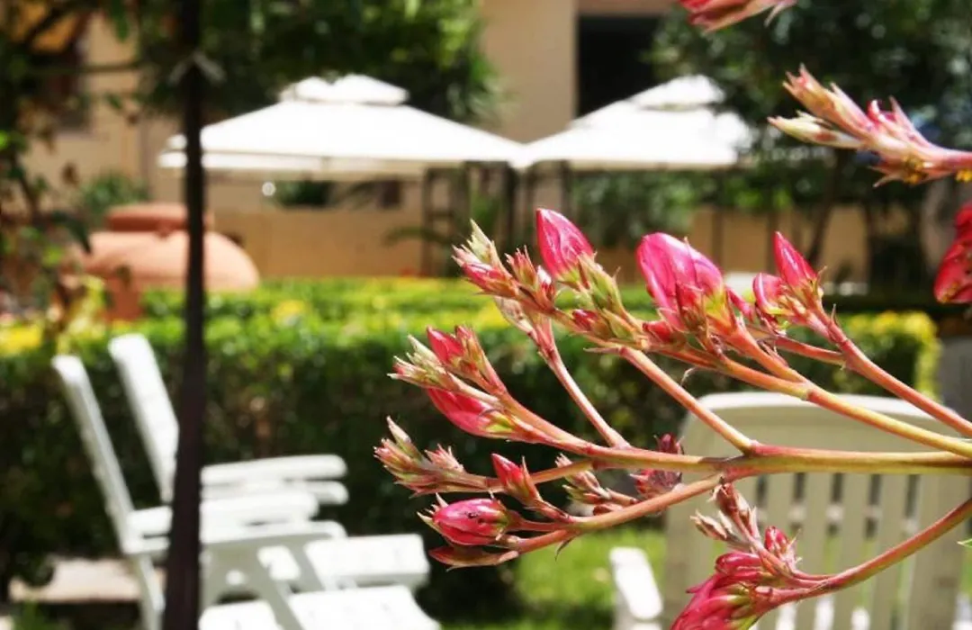 Solemare Accommodation Alghero-1