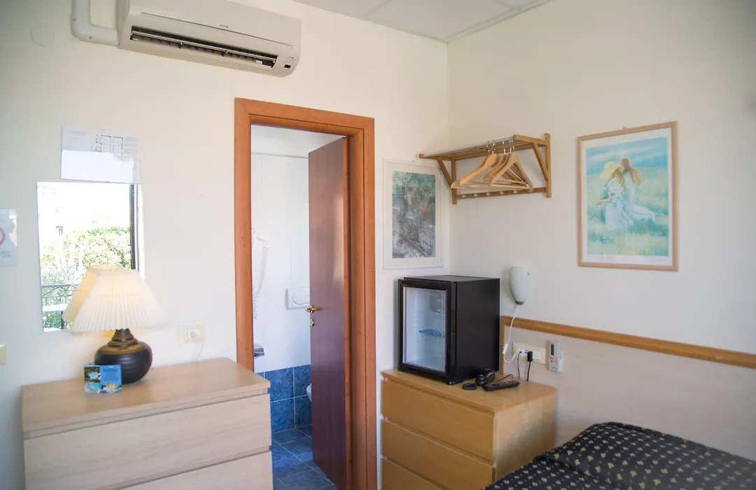 Hotel Delle Mimose-1