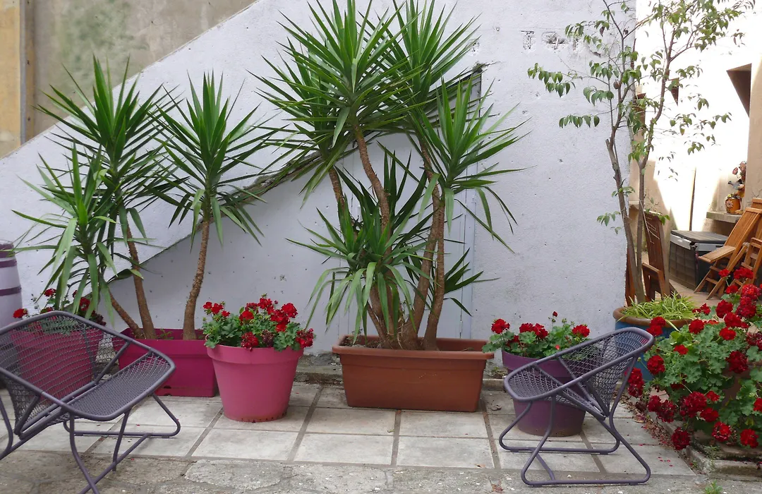 Hôtel IMPERATOR Béziers-1