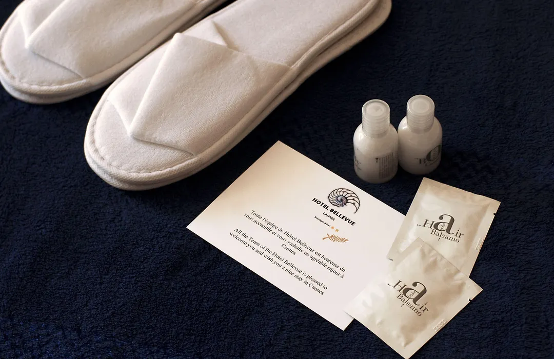 Hotel Bellevue Cannes-1