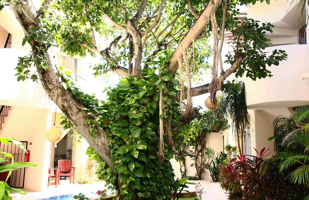 Boutique Hotel Posada 06 Tulum (Adults Only)-1