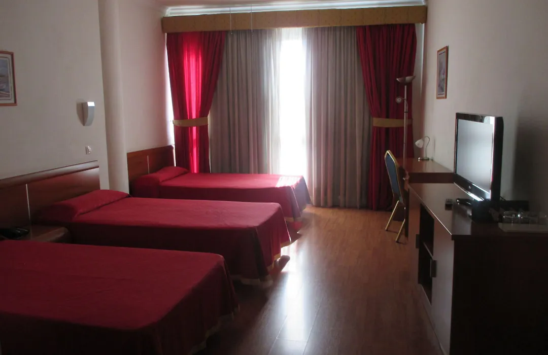 Hotel Avenida de Canarias-1