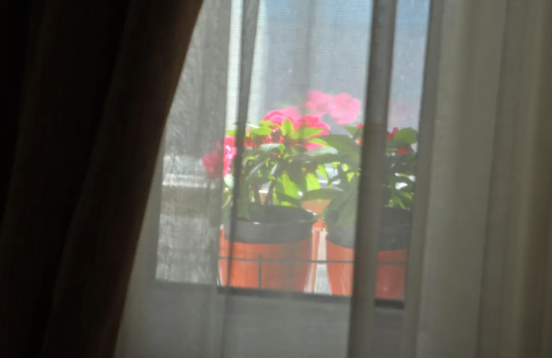 Mini Hotel-1