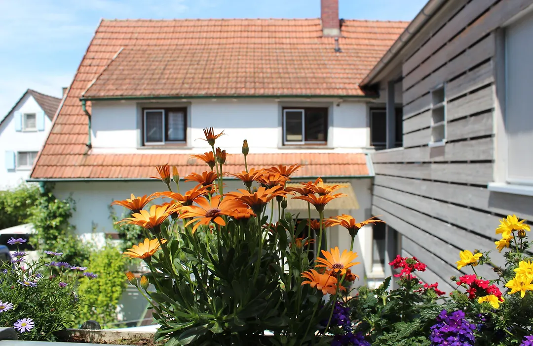 Hotel Sunnegaessle-1