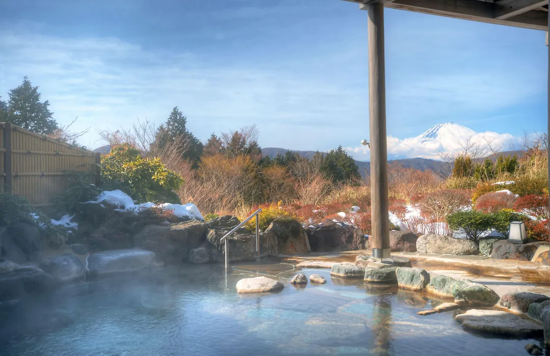 Hotel Green Plaza Hakone-1