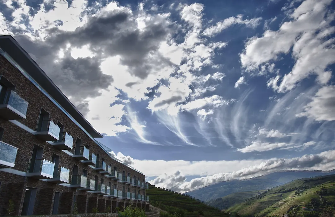 Delfim Douro Hotel-1