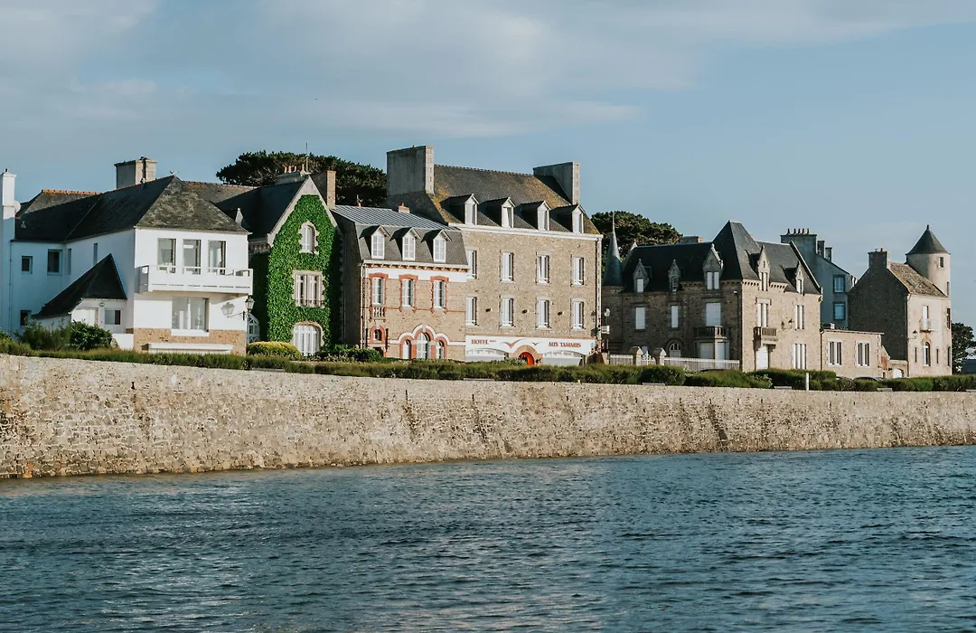 Hôtel Aux Tamaris - Vue Mer-1