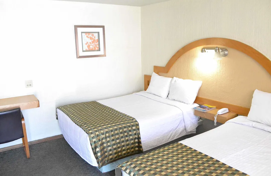 Hotel Flamingo-1