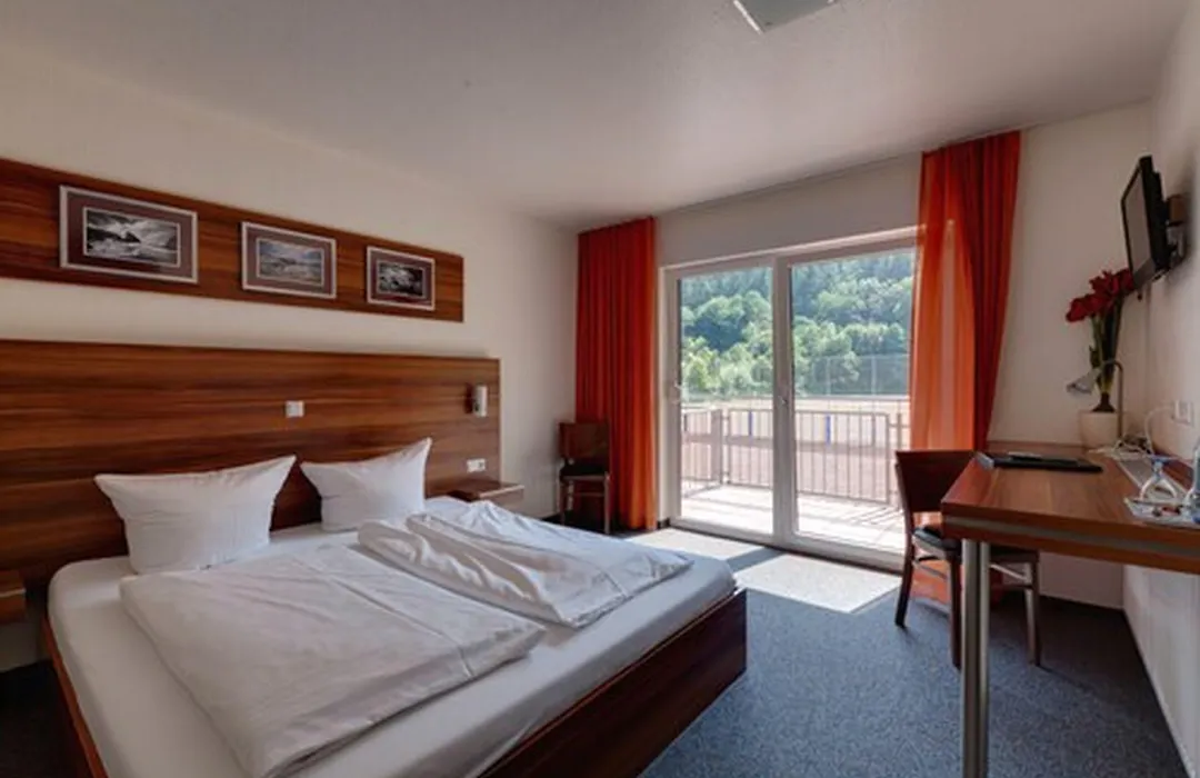 Hotel zum Neckartal Heidelberg-1