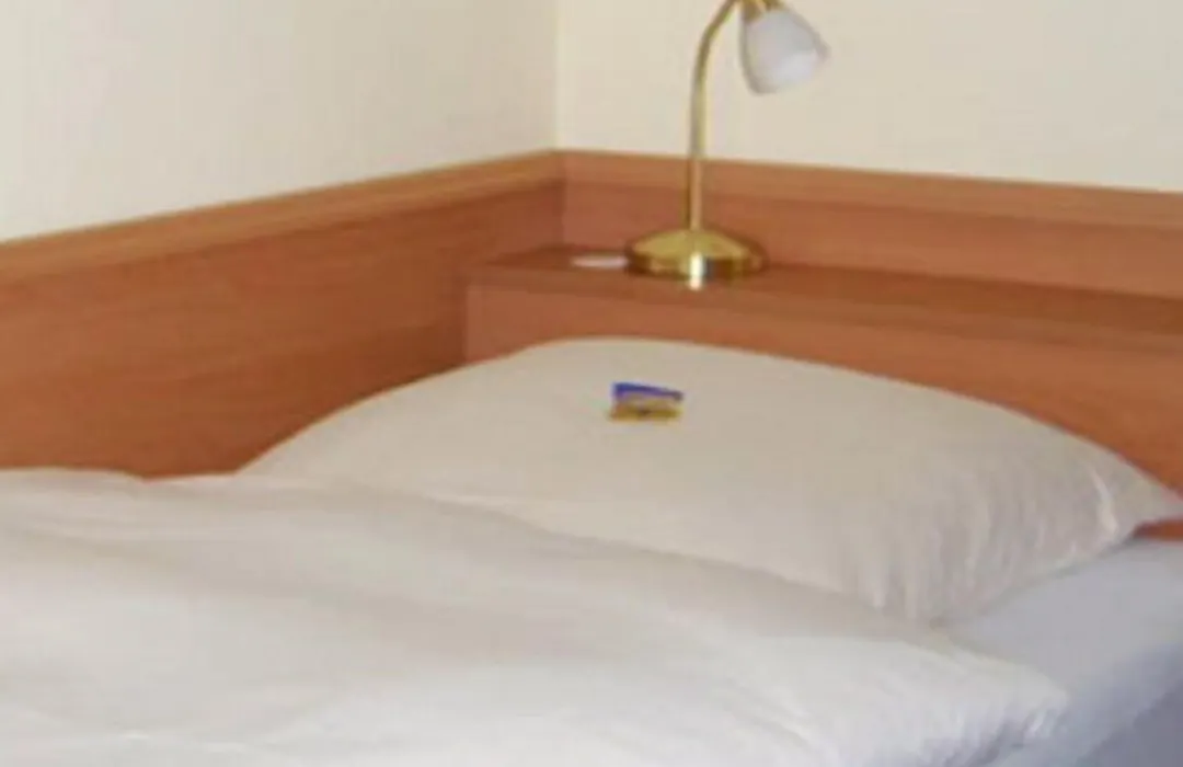 Hotel Alfa-1