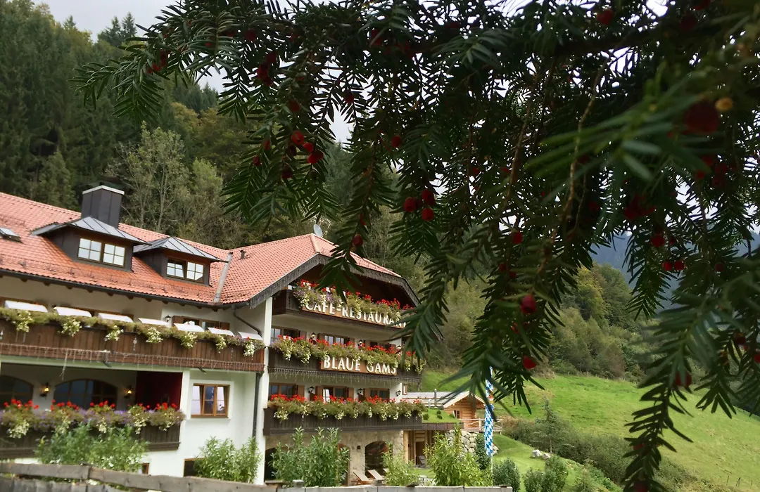 Hotel Blaue Gams ***S-1