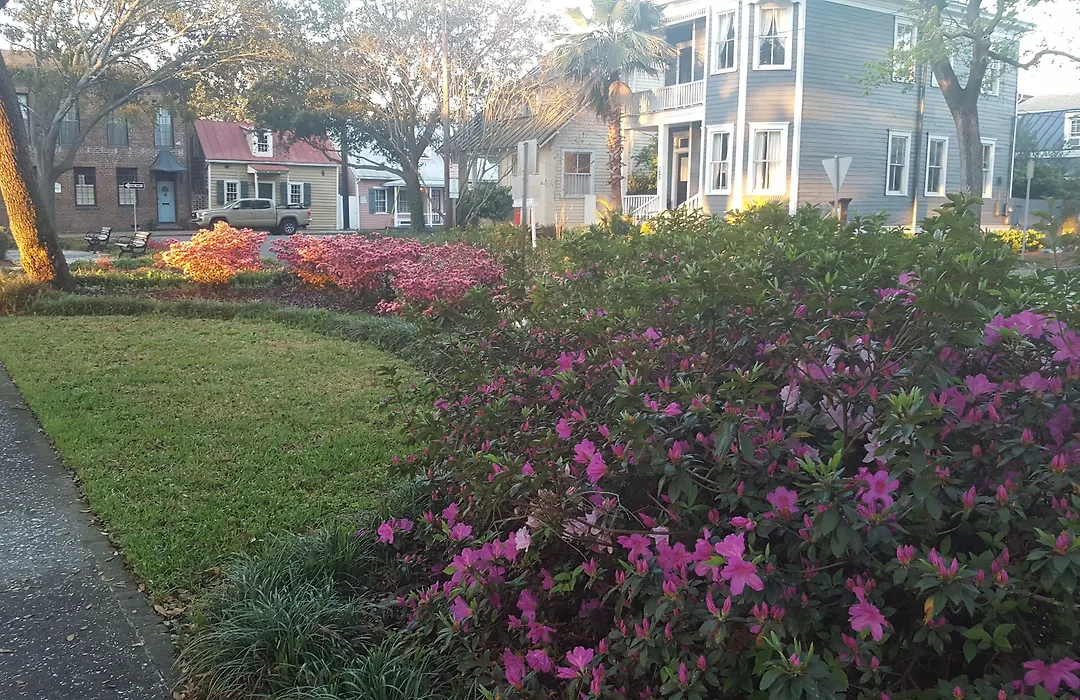 Green Palm Inn-1