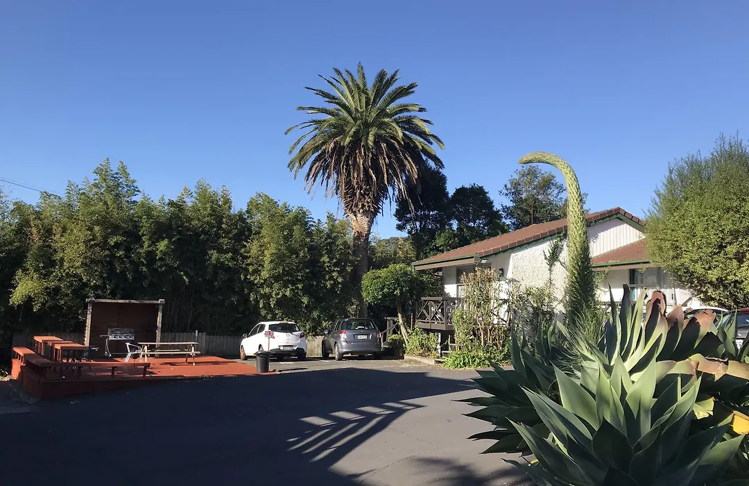 Siesta Motel-1