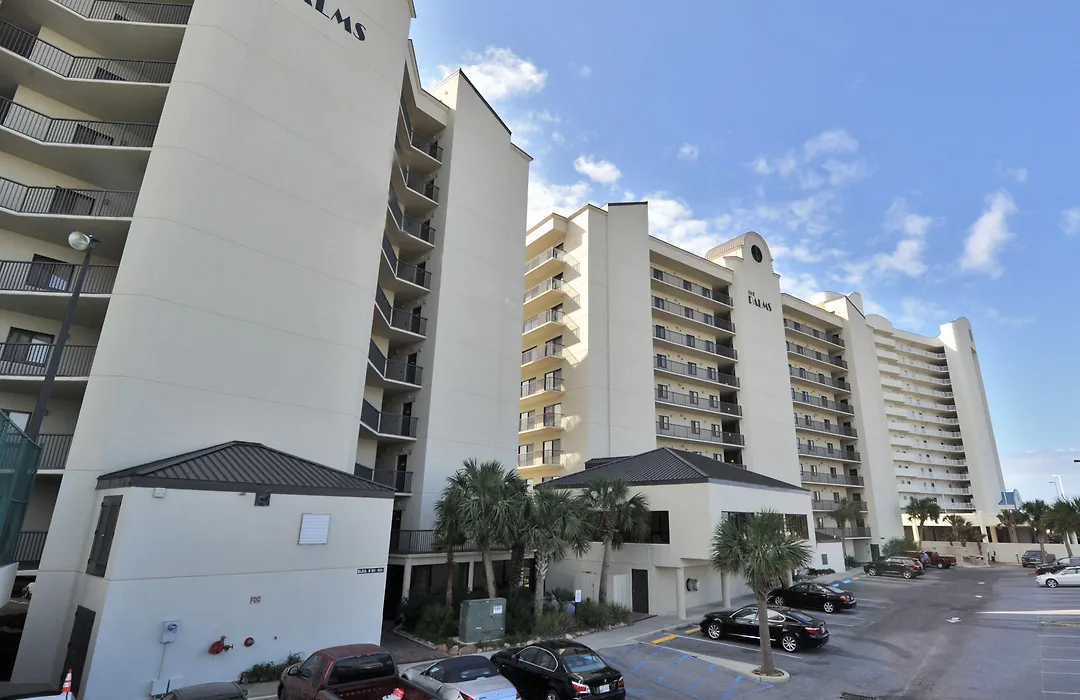 The Palms-1