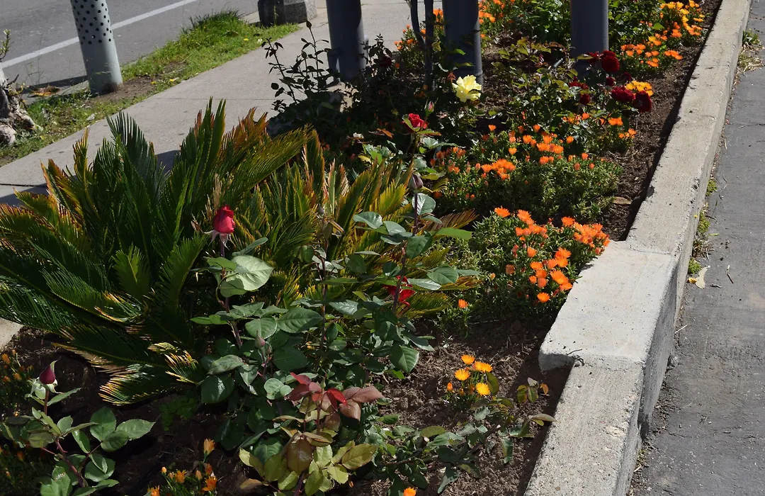 Rose Garden Inn-1
