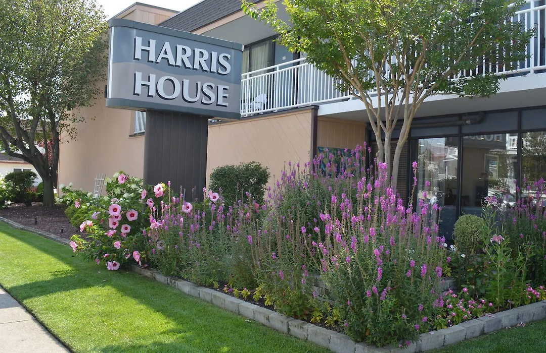 Harris House By The Beach-1