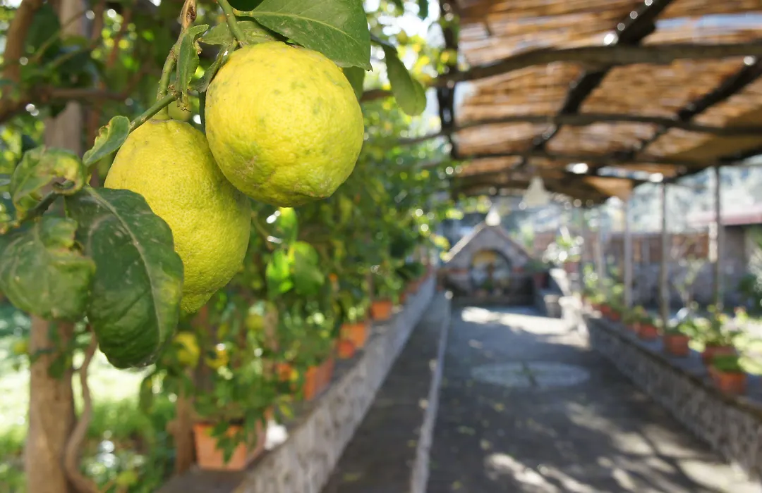 San Francesco Relais-1