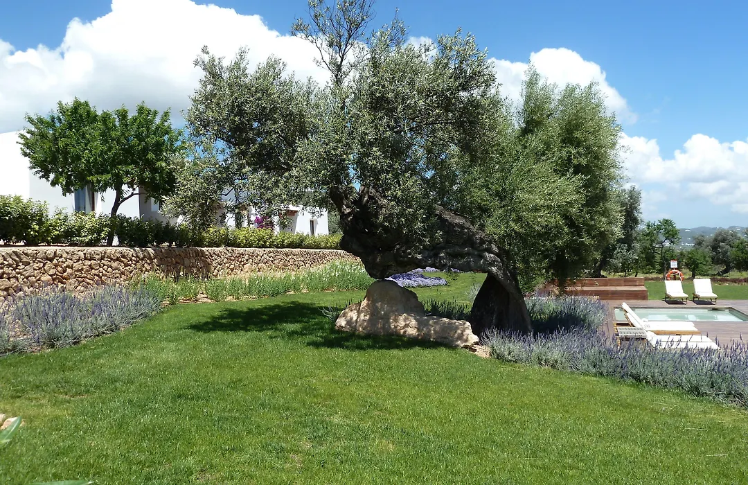 Casa Maca-1