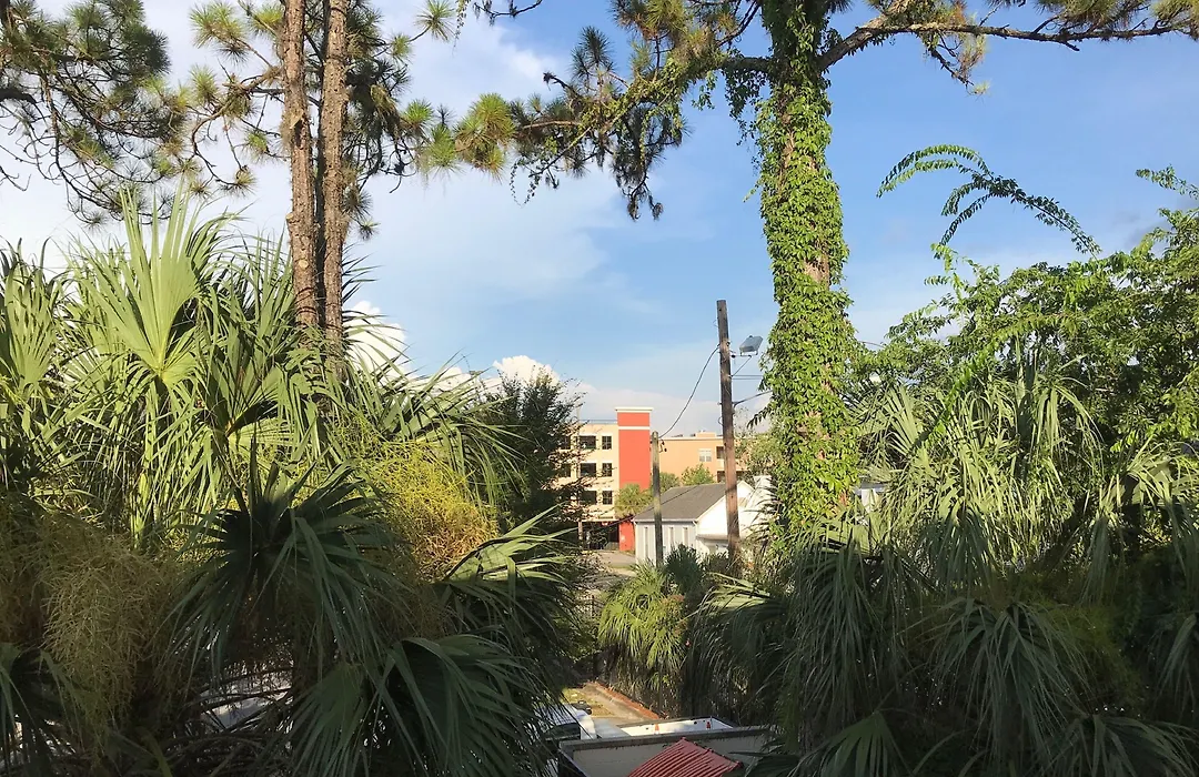 Gainesville Lodge-1
