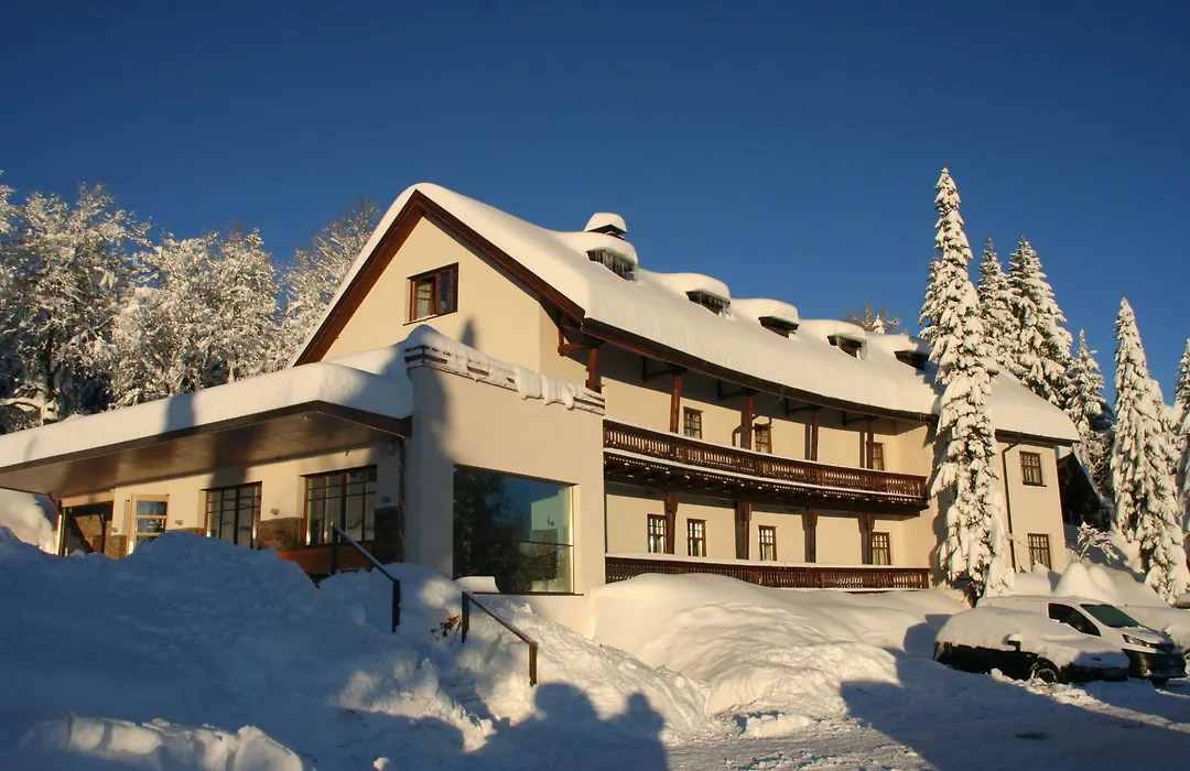 Boedele Alpenhotel-1