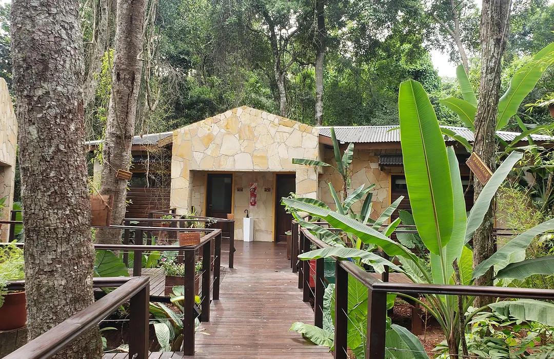 Selva De Laurel-1