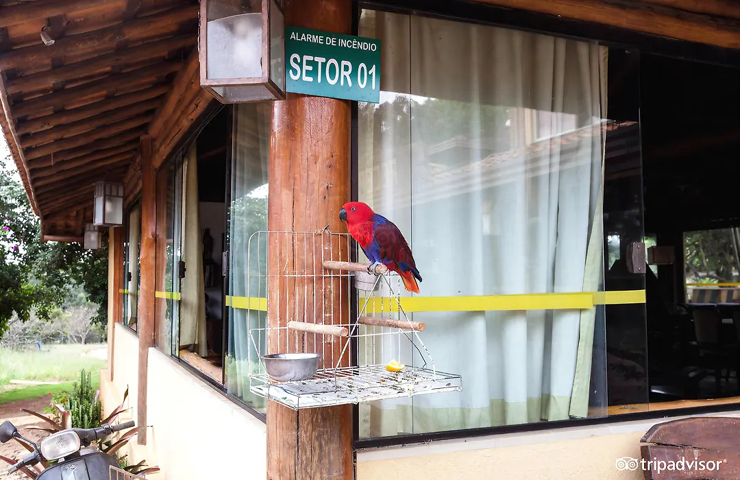 Hotel Fazenda Poços de Caldas-1
