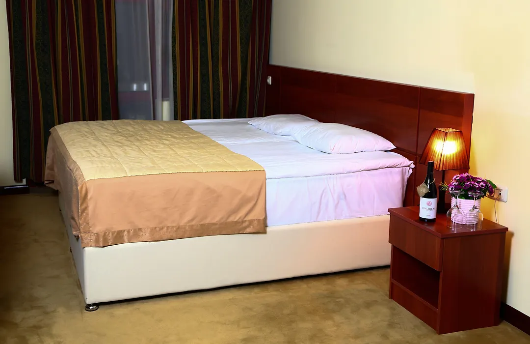 Ani Central Inn-1