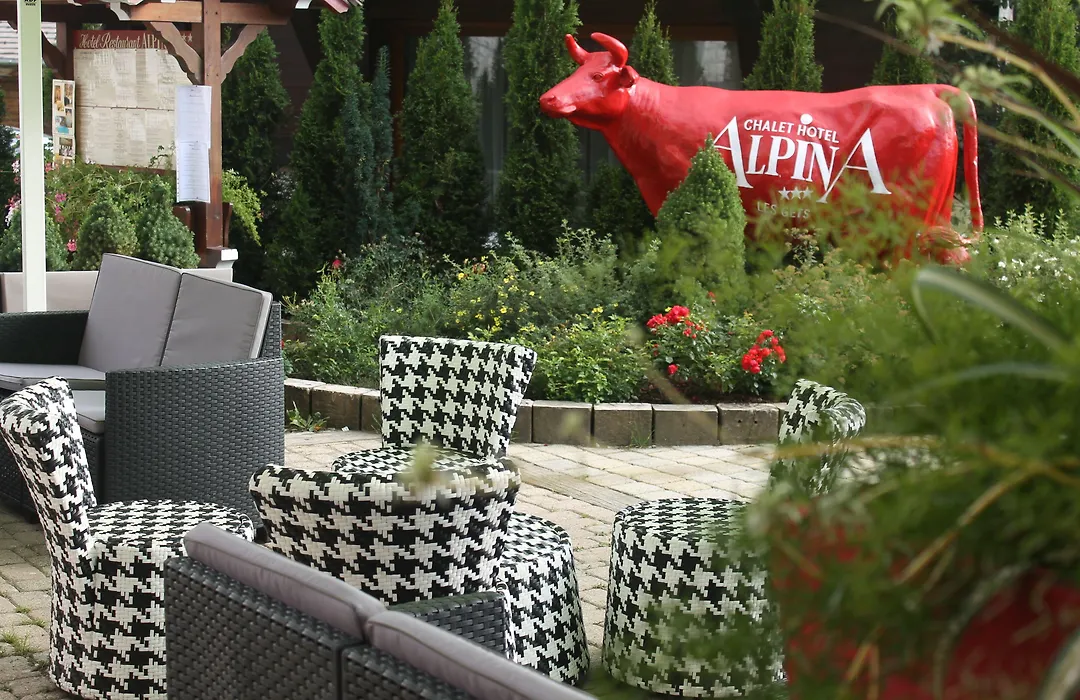 Hôtel Alpina-1