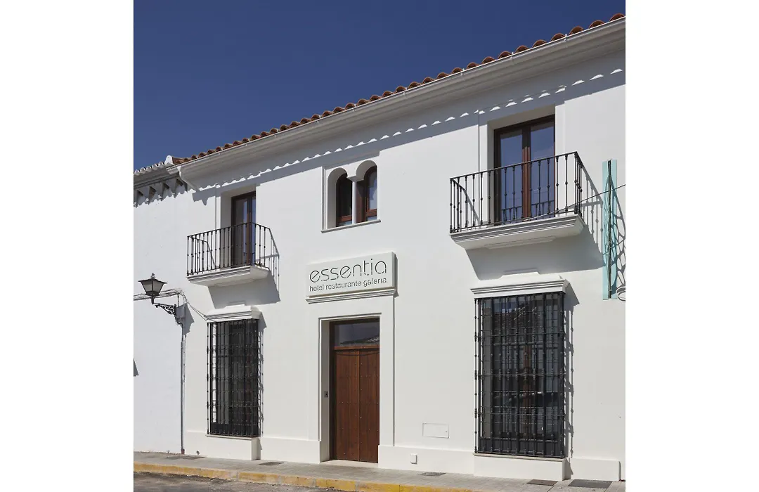 Hotel Galería Essentia-1