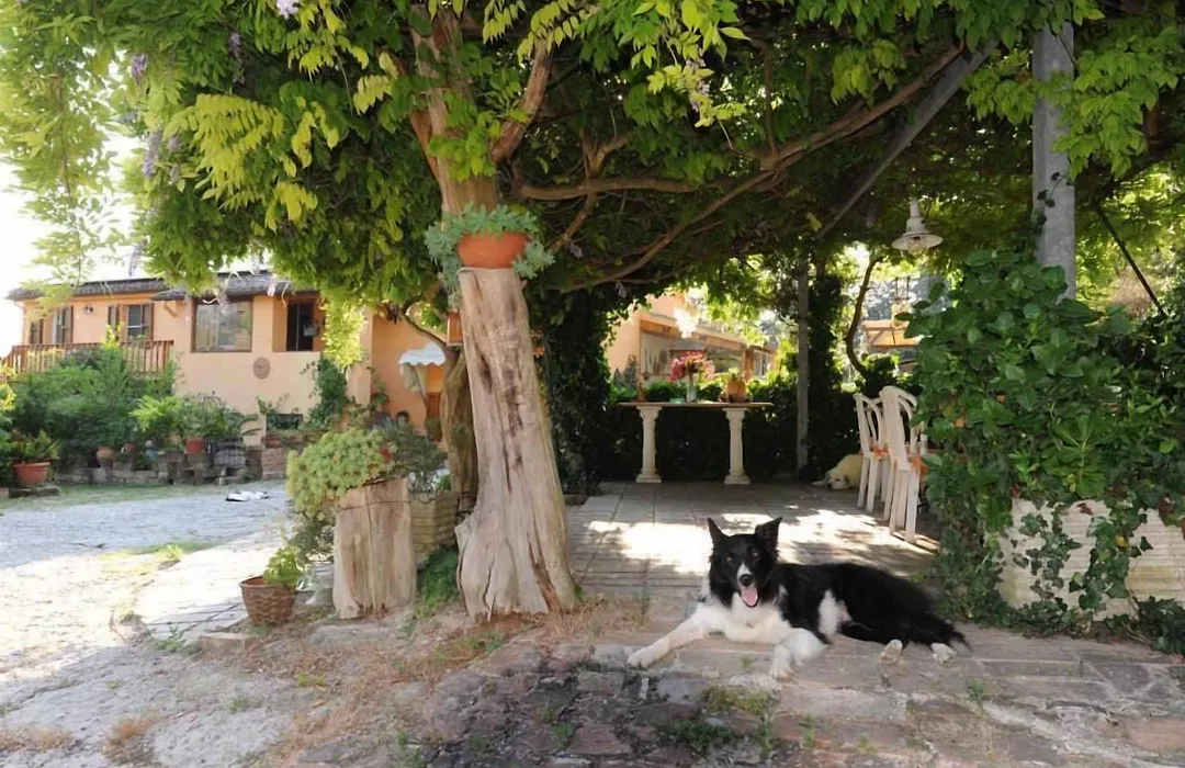 B&B Glicine-1