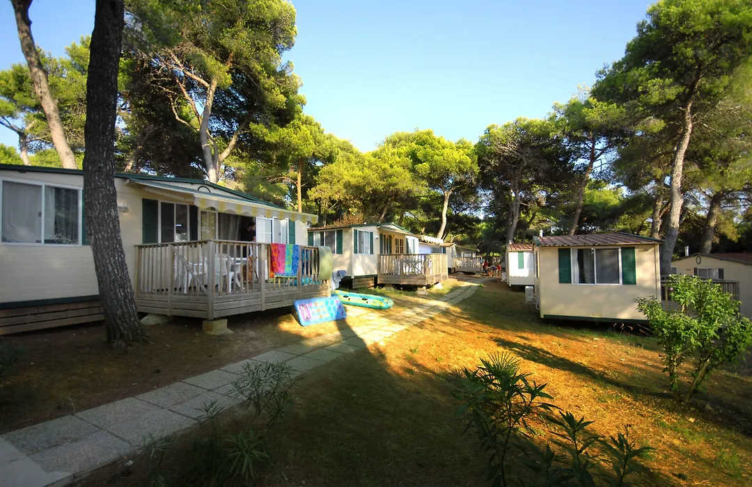 Arena Indije Mobile Homes-1
