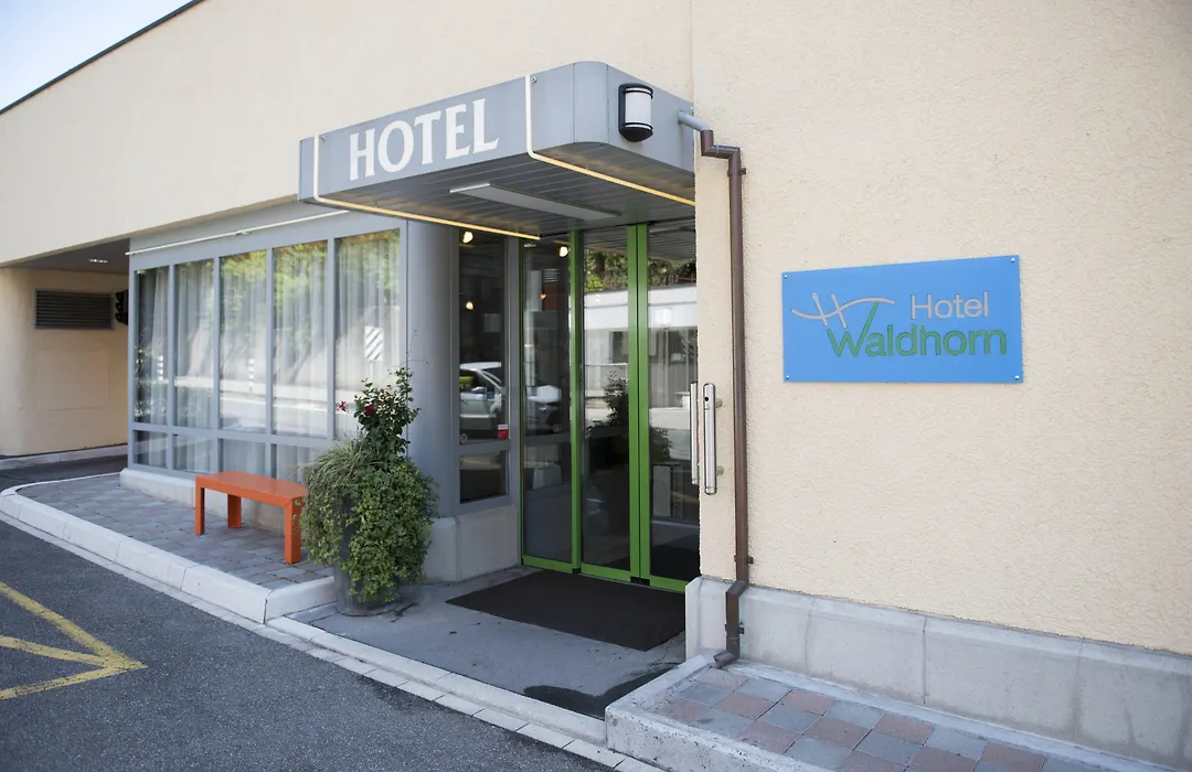 Hotel Waldhorn-1