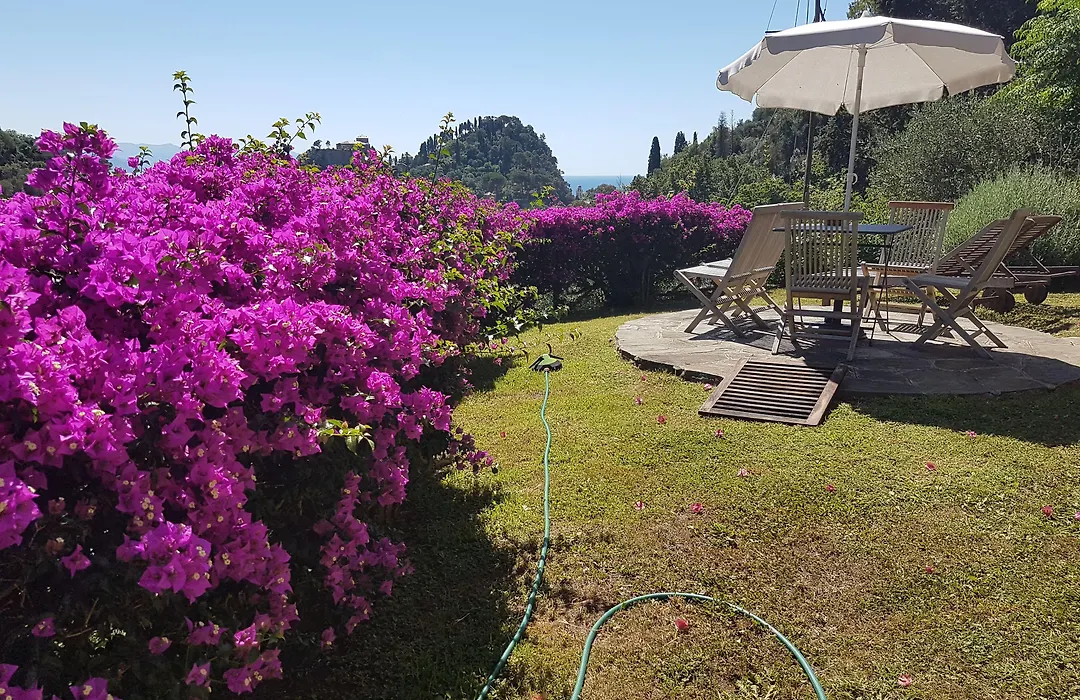 B&B Portofino-1