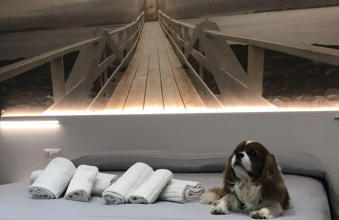 Hotel Ragno D'Oro-1