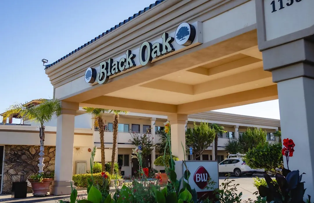 Best Western Plus Black Oak-1