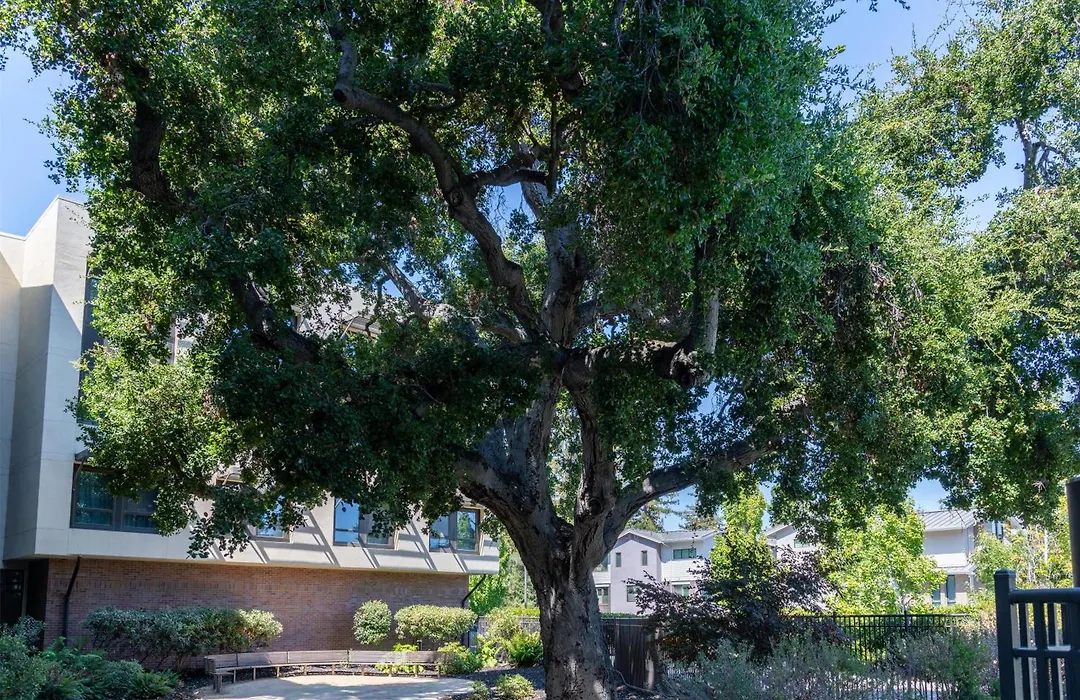 Homewood Suites By Hilton Palo Alto-1