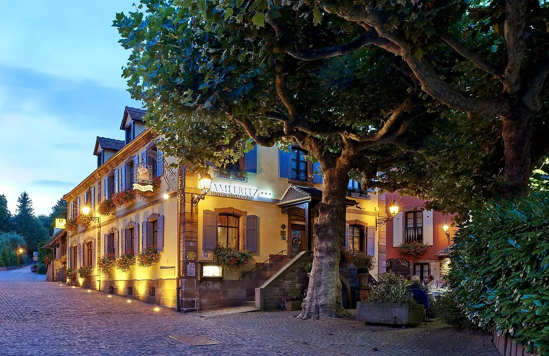 Hotel Restaurant L'Ami Fritz-1