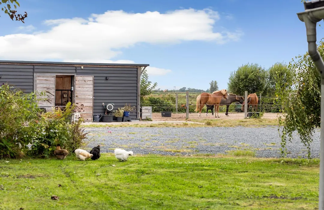 Bnb Purmerland-1