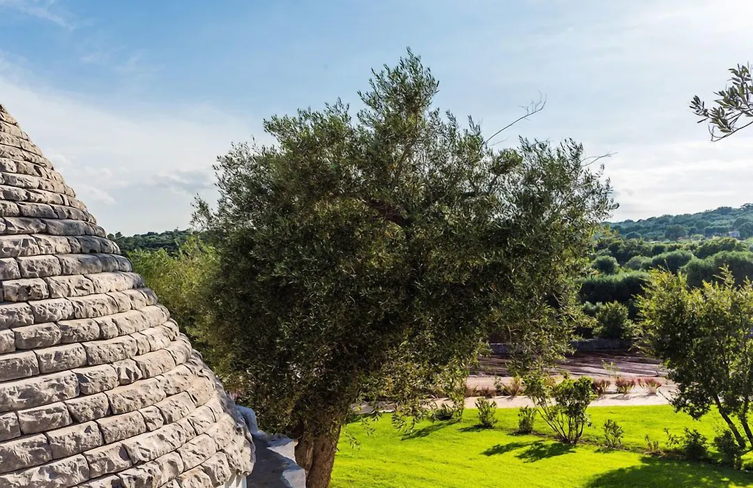 Borgo Canonica-1