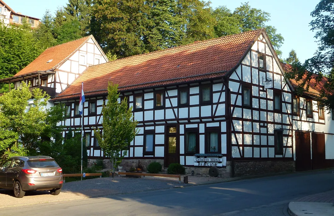 Hotel Pension Gelpkes Mühle-1