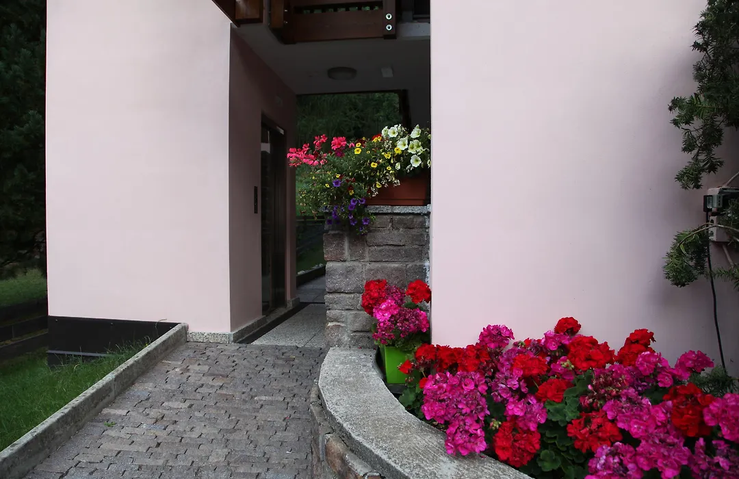 Residence Lagorai - Fiemme Holidays-1