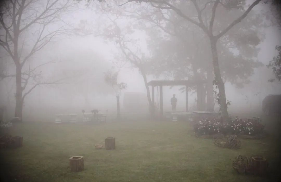 Bosque Da Neblina-1