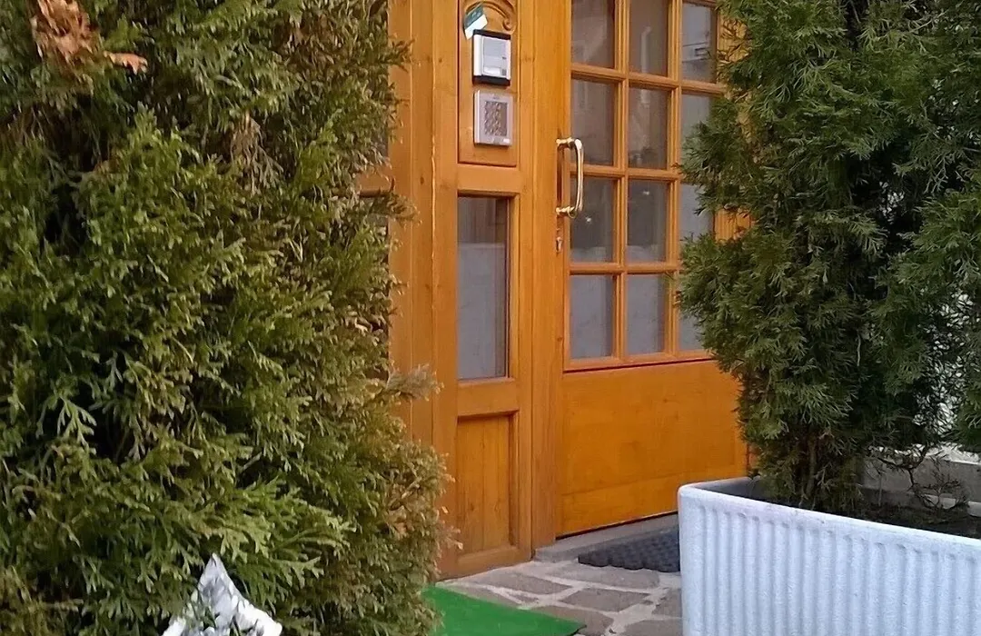 Alpen Hotel Rabbi-1