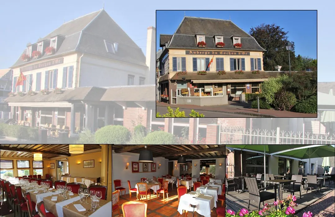 L'auberge Du Cochon D'or-1