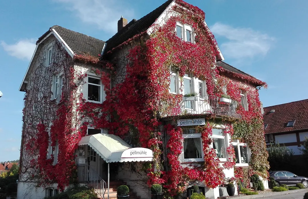 Hotel Pellmühle-1